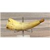 Image 2 : Antique Frontier Powder Horn