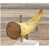 Image 3 : Antique Frontier Powder Horn