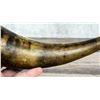 Image 5 : Antique Scrimshaw Frontier Powder Horn Flask