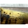 Image 9 : Antique Scrimshaw Frontier Powder Horn Flask