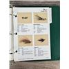 Image 8 : Index of Orvis Fly Patterns