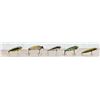 Image 5 : Collection of Heddon Fishing Lures