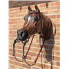 South Dakota Centennial Horse Bit & Headstall