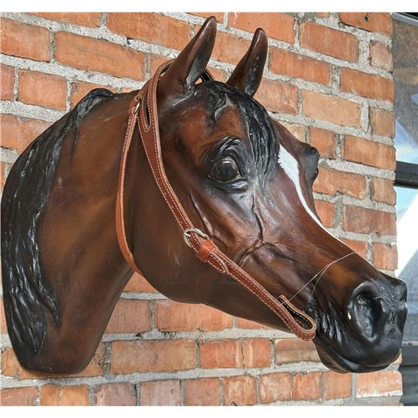 Toga Brand Leather Brow Band Headstall