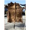 Taxidermy Montana Buffalo Hide Robe Rug