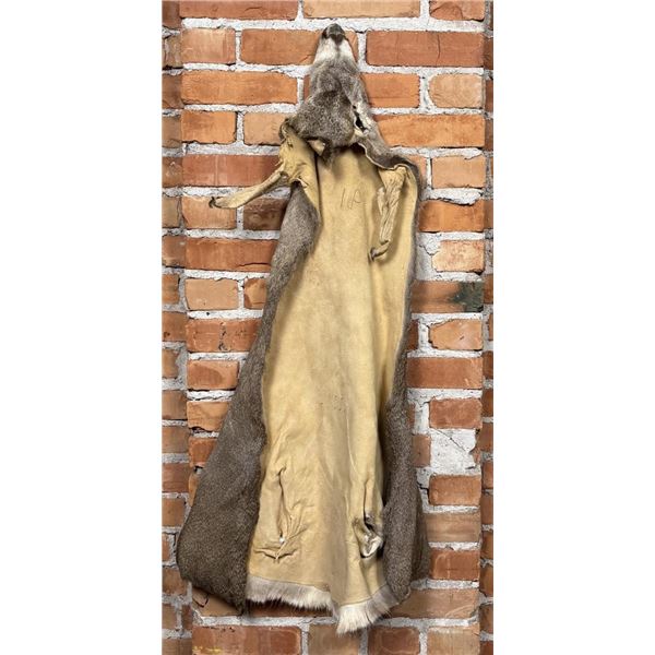 Montana Taxidermy Mule Deer Cape