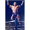 Image 1 : WWE Triple H facsimile signed  photo