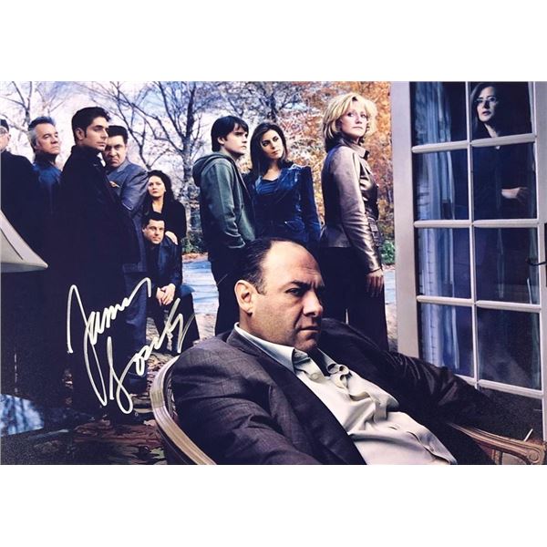 The Sopranos James Gandolfini facsimile signed photo