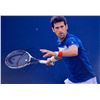 Image 1 : ATP Novak Djokovic facsimile signed  photo
