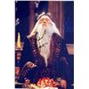 Image 1 : Harry Potter Richard Harris facsimile signed  movie photo