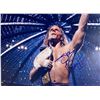 Image 1 : Mr. WrestleMania Shawn Michaels facsimile signed  photo