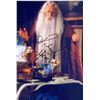 Image 1 : Harry Potter Richard Harris facsimile signed  movie photo