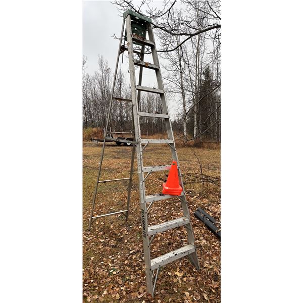 Featherlite 10 Step ladder & 3 pylons