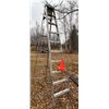 Featherlite 10 Step ladder & 3 pylons