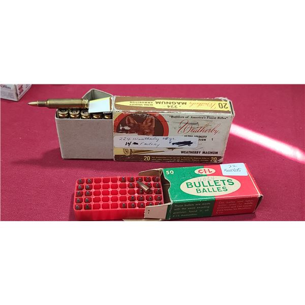 14 ROUNDS OF .224 WEATHERBY MAGNUM AND 22 CIL .224 GRS PSP BULLETS