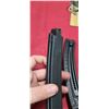 Image 6 : TWO GSG-16 .22LR MAGAZINE 23 ROUND