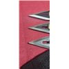 Image 3 : THREE FURY THROWING KNIVES IN SHEATH - KNIVES HAVE ADJUSTABLE WEIGHTS FOR VARIABLE SPIN