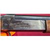 Image 12 : COOEY MODEL 84 12GA FULL CHOKE - SINGLE SHOT WITH HAMMER - BREAK ACTION - 30" BARREL SN:81854