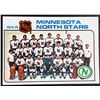 Image 1 : 1975-76 TOPPS MINNESOTA NORTH STARS