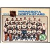 Image 1 : 1975-76 O-PEE-CHEE MINNESOTA NORTH STARS