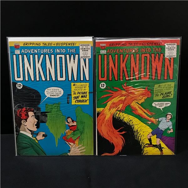 LOT OF 2 ADVENTURES INTO THE UNKNOWN #137-138 - ACG COMICS
