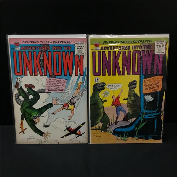 LOT OF 2 ADVENTURES INTO THE UNKNOWN #129-130 - ACG COMICS