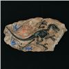 Image 1 : MULTI SIGNED JURRASIC PARK FOSSIL INCLUDING PRATT, NEIL AND DALLAS HOWARD - KB COA