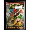 Image 1 : THE AMAZING SPIDERMAN #104 (1972) - MARVEL COMICS