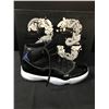 Image 1 : NIKE AIR JORDAN RETRO 11 SPACE JAM 2016 SIZE 10