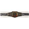 Image 1 : WWE LEGENDS MULTI SIGNED BELT JSA COA