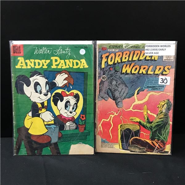 LOT OF 2 SILVER AGE COMICS