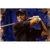 Image 1 : Tiger Woods Blue Hawaii by Stephen Holland