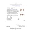 Image 5 : 14kt Dia and Morganite Halo Earrings