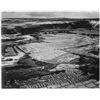 Adams - Corn Field, Indian Farm near Tuba City, Arizona 1941