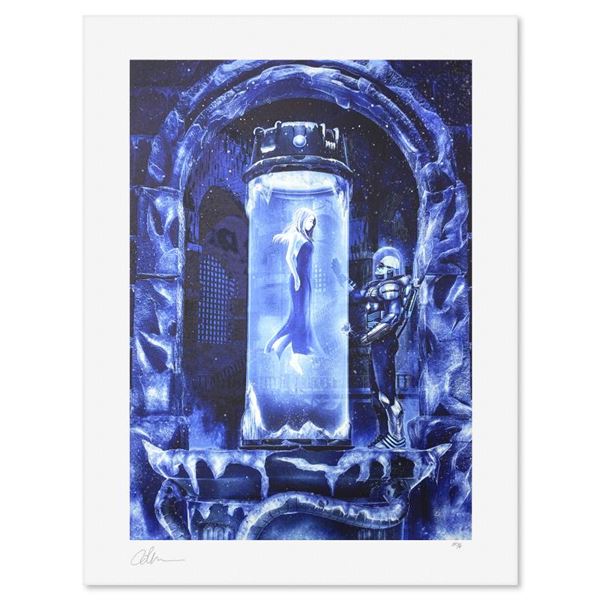 Mr. Freeze: Heart of Ice by DC Comics