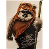 Image 1 : Star Wars Warwick Davis signed photo