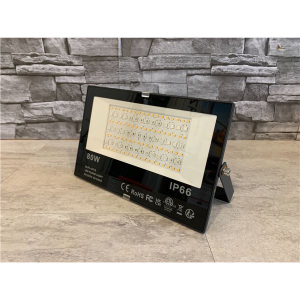 Orange Color 80W LED Flood Light 110v