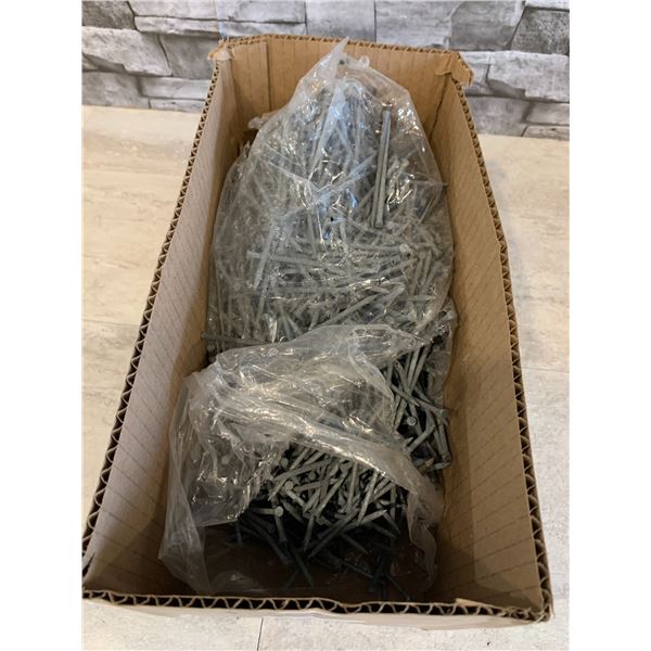 Large Box of 3 inch Galvanized Landscape Nails / Spikes