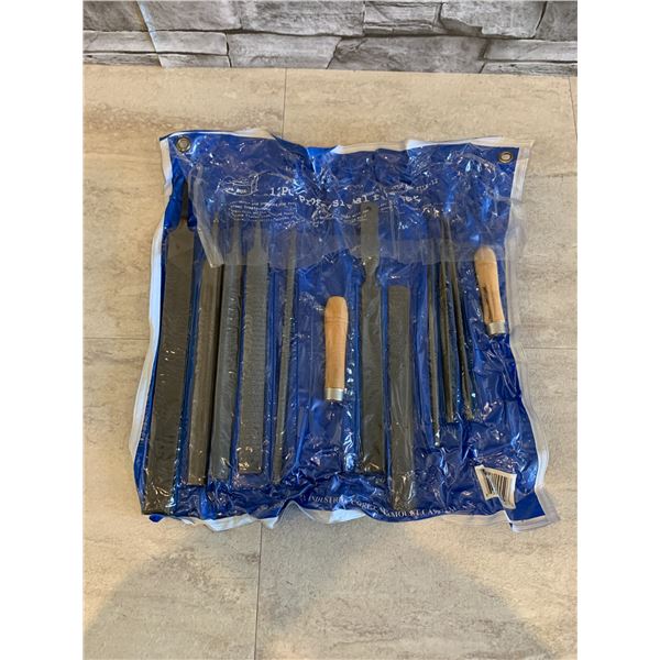 12 Pc Professional File Set