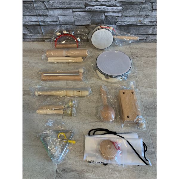 Lot of 10 Musical Instruments - With Carry Bag