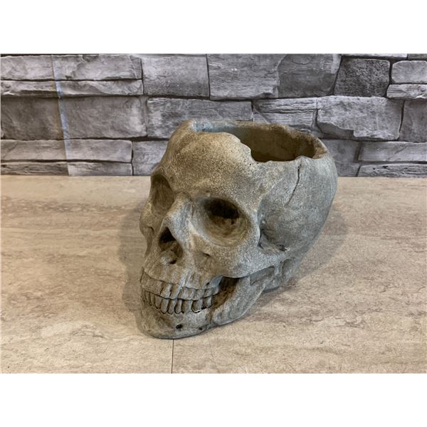 Cast Concrete Skull Sculpture Holder