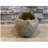 Image 3 : Cast Concrete Skull Sculpture Holder