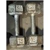 Image 1 : Pair of 15kg dumbells