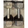 Image 1 : Pair of 20kg dumbells