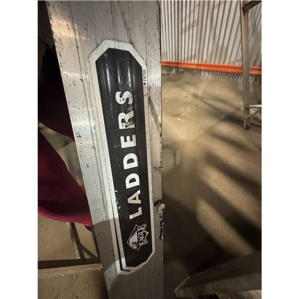 Eagle Ladder 8 ft