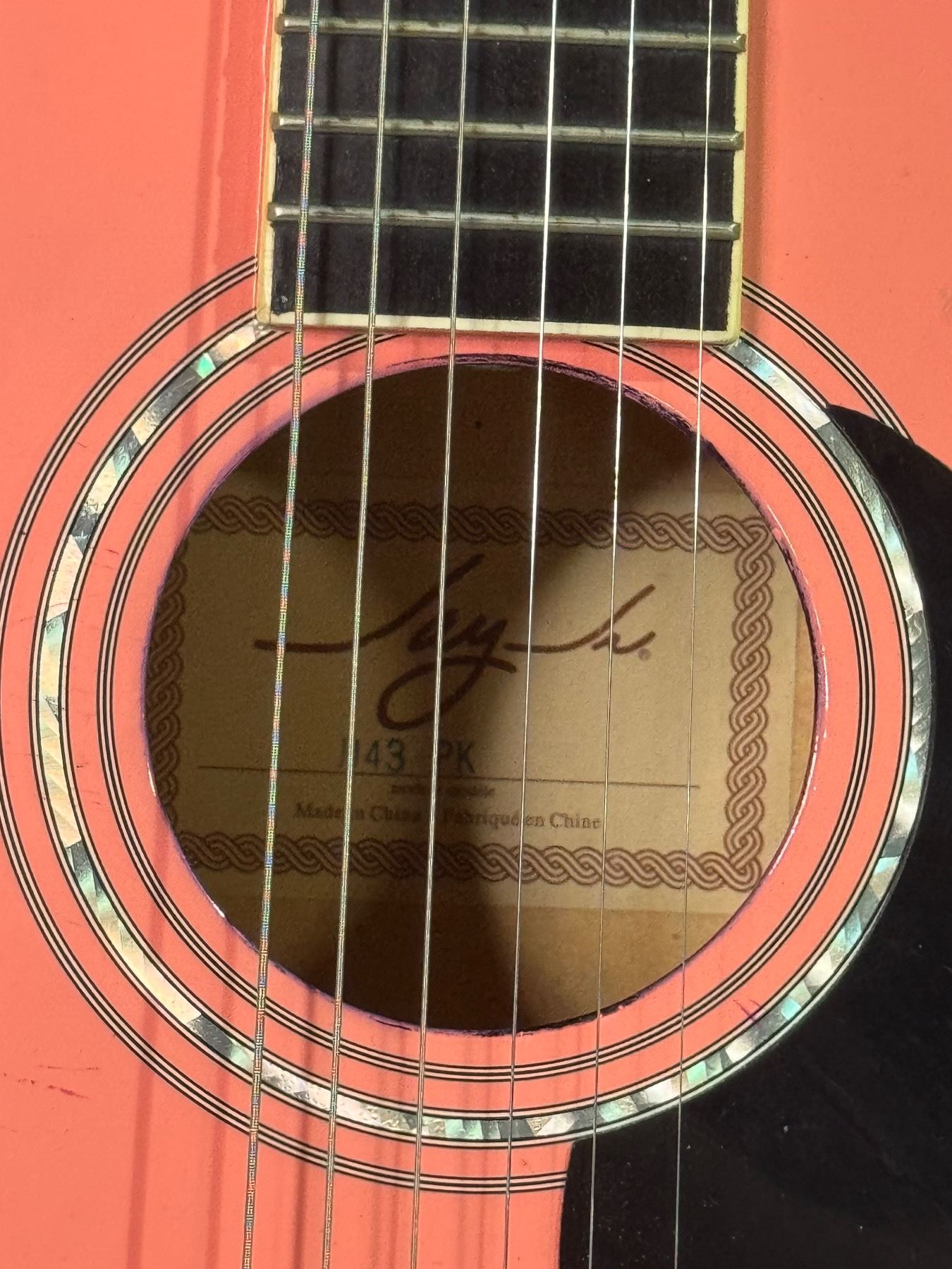 Pink Jay Turser Guitar in Case