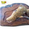 Image 2 : Carved Burl Fish On Live Edge Wood Plaque