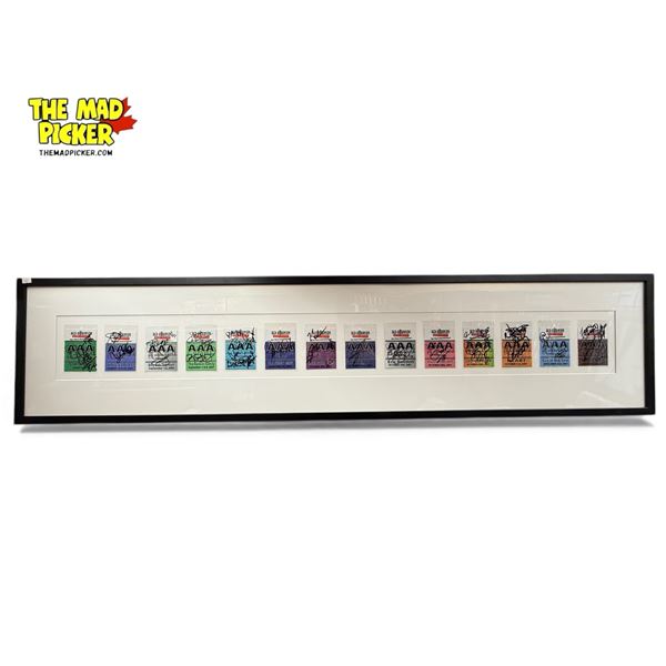 Framed Red Robinson Theatre 14 All Area Access Passes, Signed By Various Bands & Artists