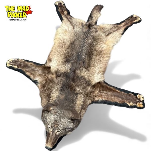Vintage Taxidermied Wolf Skin Rug
