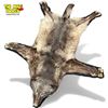 Image 1 : Vintage Taxidermied Wolf Skin Rug